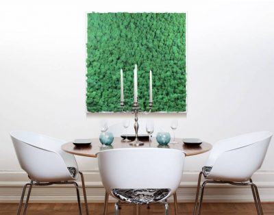 Wall Frame – Preserved Moss